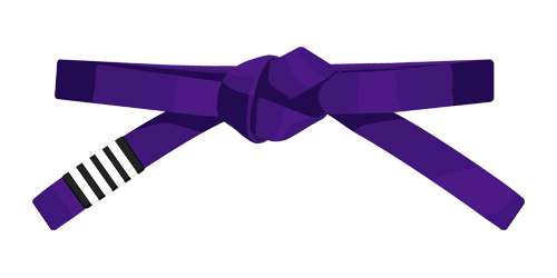 Purpurowy pas BJJ